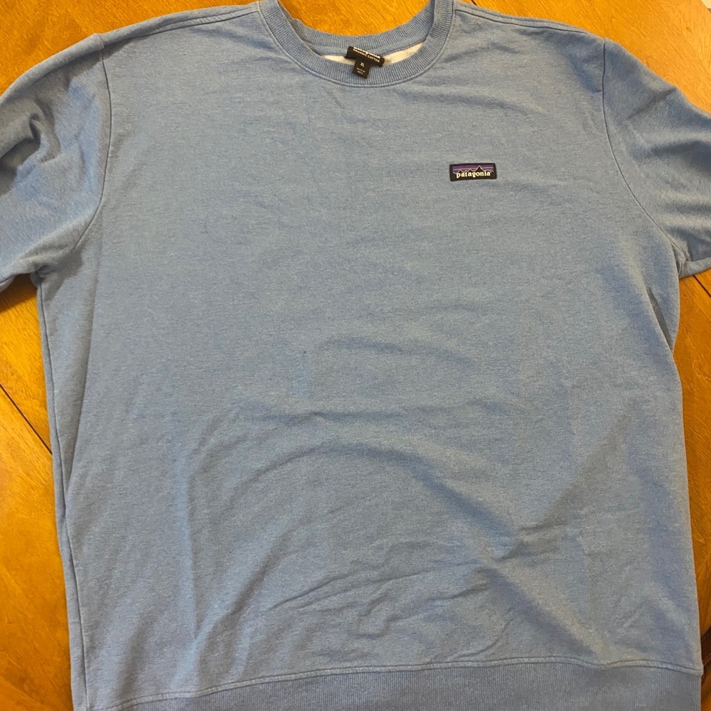 Baby blue Patagonia sweatshirt